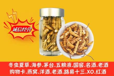 北京昌平区回收散虫草