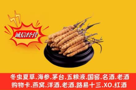 北京昌平区名酒回收冬虫夏草.jpg